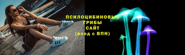 метадон Арсеньев