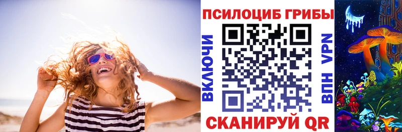 kraken зеркало  Камбарка  Псилоцибиновые грибы мицелий 